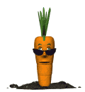 carrot1.gif