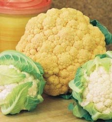 2176-cauliflower-large.jpg