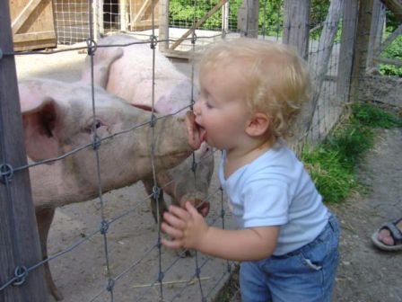 Pig Lickin Good !.jpg