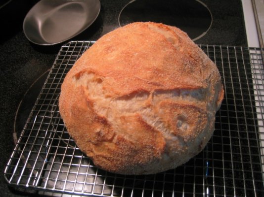 No-knead bread.JPG