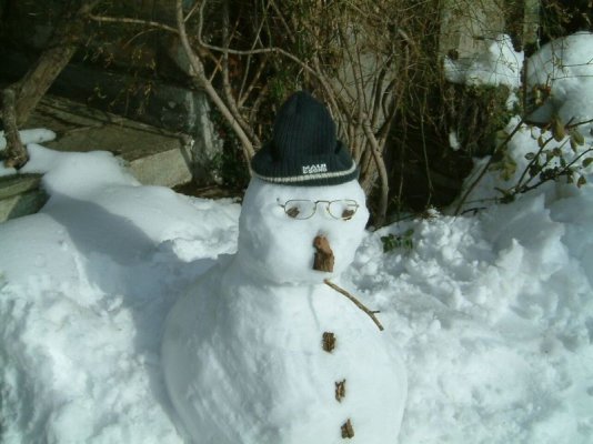 Snowman2005creduced.jpg