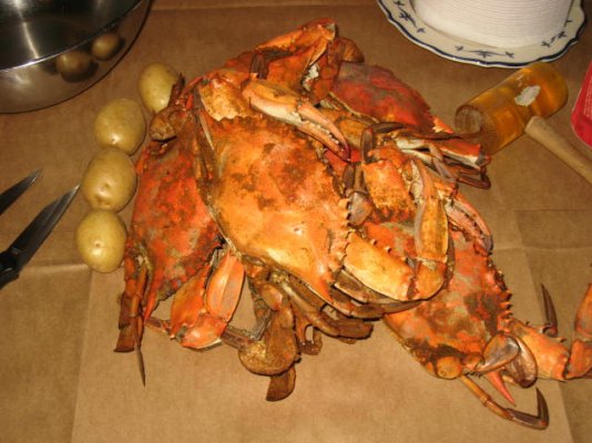 PPPC wk-16 Baltimore crab feast.jpg