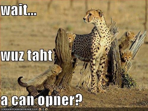 cheetahs-hear-can-opener.jpg