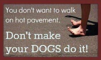 hot_pavement_dogs.jpg