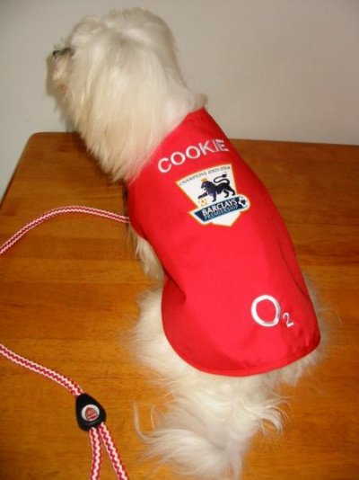 Cooky in Arsenal Shirt small.jpg