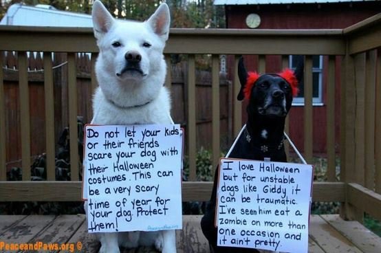 Halloween Message about Dogs.jpg