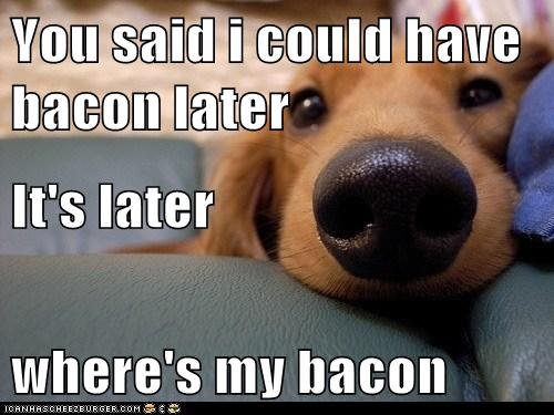bacon later.jpg