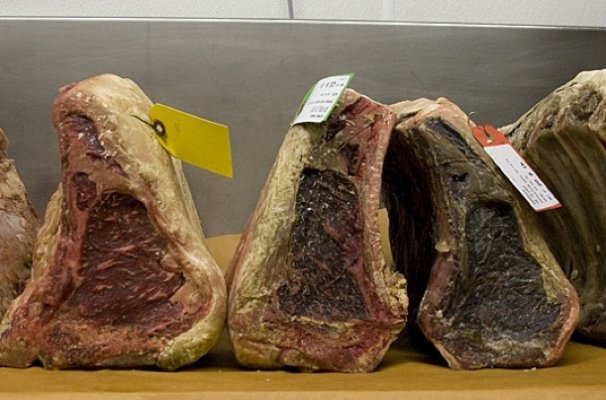 esq-dry-aged-science-121211-xlg.jpeg
