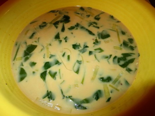 Viking green soup.jpg