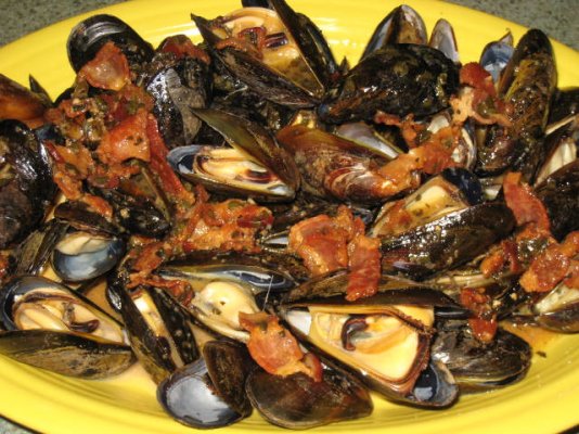 mussels.jpg