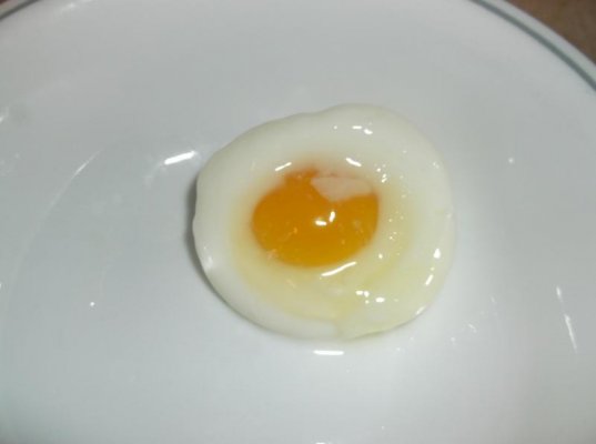 sb egg 002.jpg