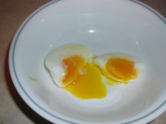 sb egg 003.jpg