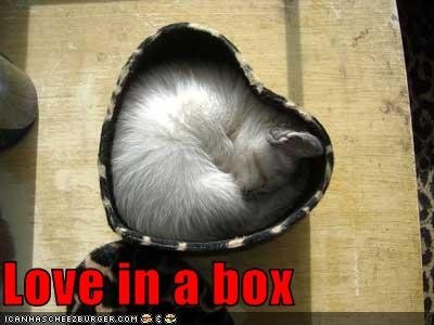 love in a box.jpg