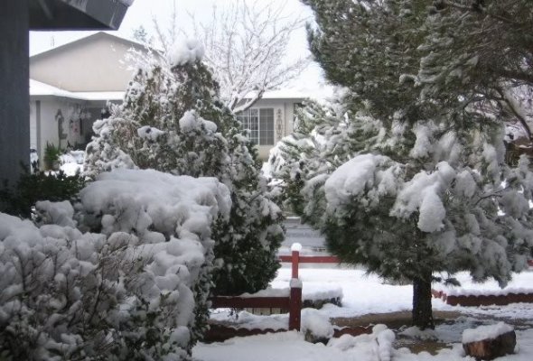 snow of 2011.jpg
