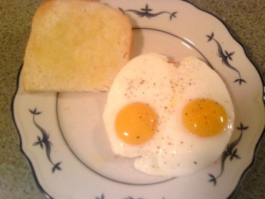 eggs and toast.jpg