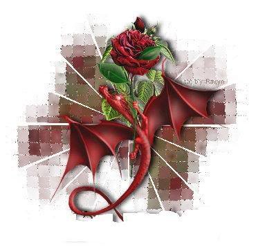 red rose dragon.JPG
