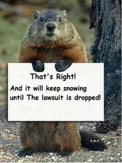 drop the law suit.jpg