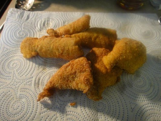 Southern Fried Catfish.jpg