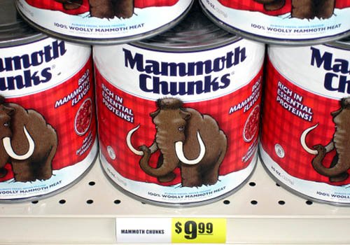 mammoth-chunks-travel-mart.jpg