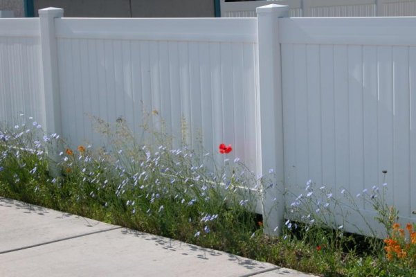 fence flowers2.jpg