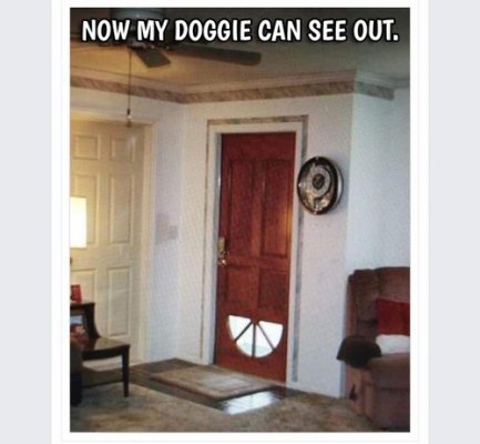 dog door.jpg