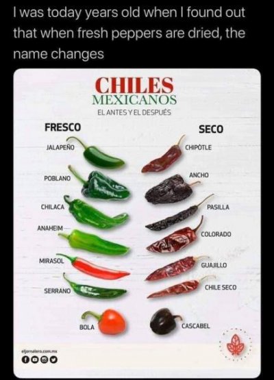 chiles - names of fresh and dried.jpg