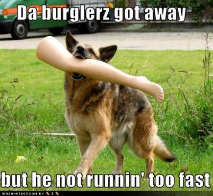 funny-dog-pictures-burglerz-away.jpg