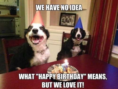 two_happy_dogs_happy_birthday_meme_dog1.jpg
