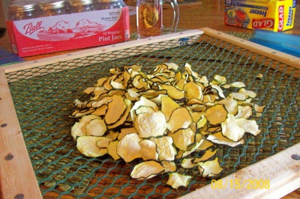 Dried zucchini  (600 x 399).jpg