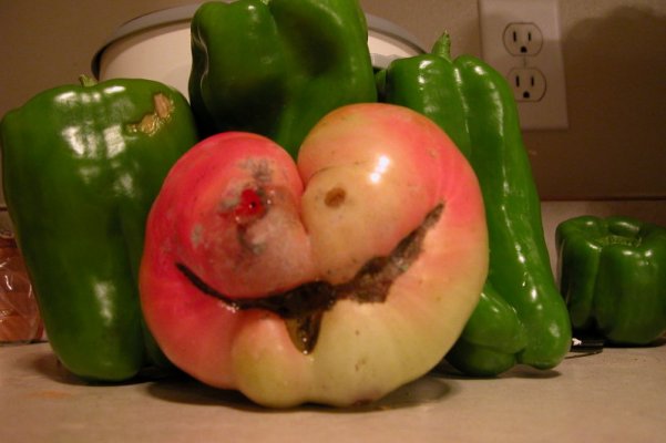 happy tomato.JPG