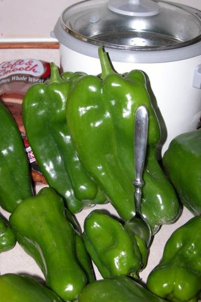 big pepper.jpg