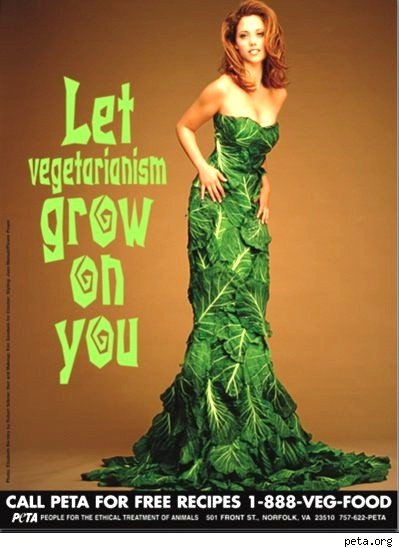 foodart-peta-lettuce.jpg