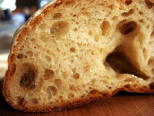 Bread-porous.jpg