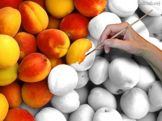 FoodArt-PeachesWallpaper.jpg