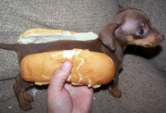 foodart-hot_dog.jpg