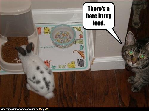 foodart-hare-in-food.jpg