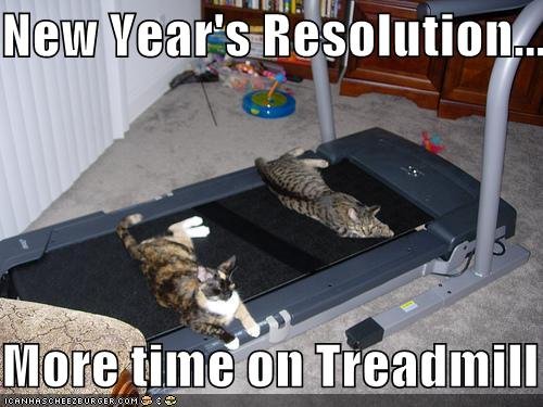 NewYearsResolution-cats-treadmill.jpg