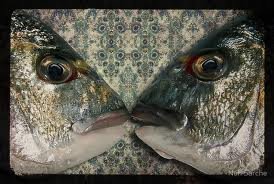 foodart-kissingfish.jpg