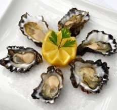 foodart-oysters.jpg