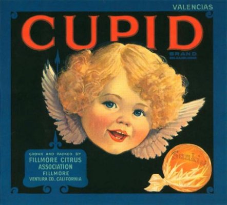 foodart-Cupid-Orange.jpg
