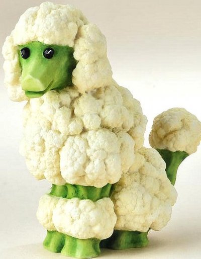 foodart-cauliflowerpoodle.jpg