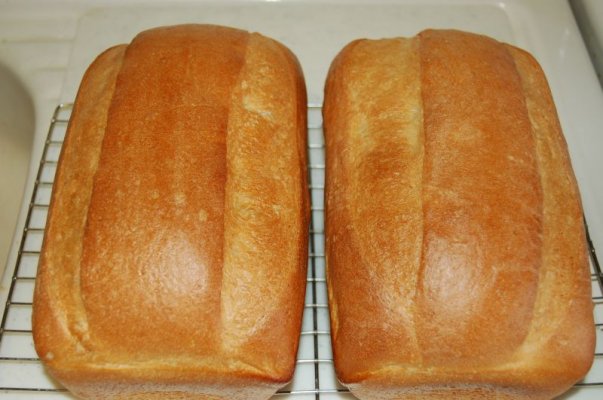 Bread03.jpg