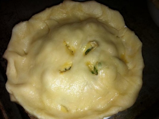 Close up of pre bake seafood pot pie.jpg