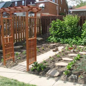 Our garden makeover in 2008. Those berries back by the fence sure shot up!
