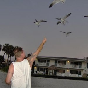 Me feeding the seagulls on the beach, that's our condo in the bacground