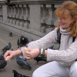 On our last trip to Greece we had a 14 hour layover in London.  We explored the city and I had a blast feeding the birds.