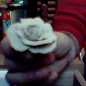 I used home made playdough to practice my flower making with.  Now it's time to try it with gum paste or fondont.