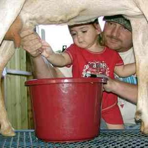 Teaching Dani how to milk, or as Dani says, "mook". Here, I am showing her how to milk Nay-nay.