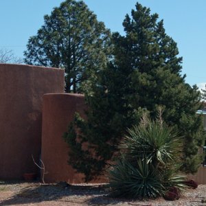 Its a typical flat roofed adobe style found everywhere in New Mexico