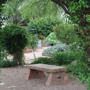 I volunteer at the "Farm" at Agricultural Extension in Tucson, AZ. This is a demo garden.